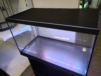 Аквариум 240л с покрывной крышкой + диодный светильник