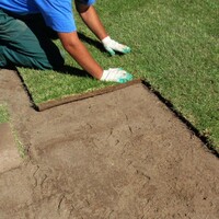 Укладка газона на готовое основание, м2