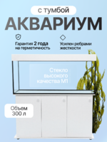 Хит, Аквариум 300 л. прямой с пластиковой крышкой+ диодный светильник+ усиленная тумба с дверками